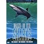 Island of the Sharks (Large Format)
