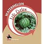 Watermelon (Life Cycles)
