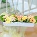 花工房花贈り フラワーギフト パステル・ドリームお誕生日・記念日・結婚の祝い・お見舞いに