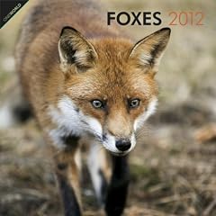 Foxes 2012