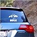 Hulk Vinyl Decal Sticker