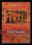 Forest Seasons