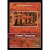 Forest Seasons