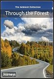 Fitness Journeys - Through the Forest