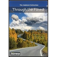 Fitness Journeys – Through the Forest