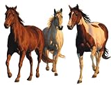 Wallies Wallpaper Mural, Chris Cummings Wild and Free Horses