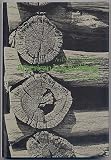 American Log Buildings: An Old World Heritage