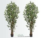 TWO Pre-Potted 7' Artificial Ficus Tree with Multiple Real Wood Like Trunks