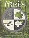 Search : Knowing Your Trees Revised and edited by Devereux Butcher