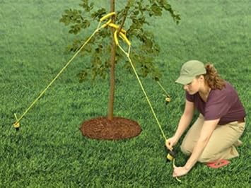 Jobe's 5270P TreeStaKit - Stake Kit For Medium Sized Trees