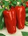 Giant Marconi Hybrid Sweet Pepper Seeds - Capsicum Annuum - 0.2 Grams - Approx 30 Gardening Seeds - Vegetable Garden Seed