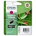 Epson T0543 UltraChrome Tintenpatrone magenta Hi-Gloss