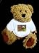 Teddy Bear mit Geb�uden, Hochschule, Walking, Universit�t, Gateway, Frau, Architektur, New England, B�sche, Campus t-shirt