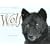 Wolf Empire: An Intimate Portrait of a Species