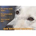 Metall-Warnschild Wei�er Schweizer Sch�ferhund
