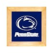 Pennsylvania State University Nittany Lions Trivet - Wall Hanging