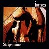 Bild des Albums von James