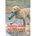 Dummy-Arbeit mit Retrievern: Grundkurs