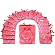20 Pink Rose Shopping Tote Gift Bags & Card 3 1/2"