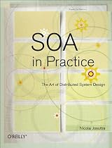 SOA in Practice: The Art of Distributed System Design (Theory in Practice)
