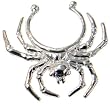 Nipple Clip Spider