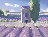 Feldhaus bei Aries l art print 50x70cm by Talantbek Chekirov