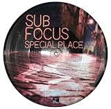 Special Place (picture disc) [12 " VINYL]