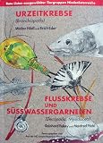 Produkt-Bild: Urzeitkrebse (Branchiopoda) & Flusskrebse und S&uuml;sswassergarnelen (Decapoda, Mysidacea) (Rote Listen ausgew&auml;hlter Tiergruppen Nieder&ouml;sterreichs)