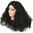 Adult Deluxe Diana Ross Costume Wig