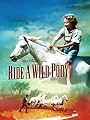 Ride A Wild Pony