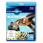 Discovery HD: Jeff Corwin - Im Sturzflug [Blu-ray]