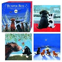 Cats & Dogs Christmas Cards Bumper Box