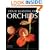 Four Seasons of Orchids
