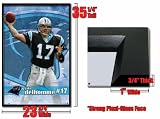 Framed Jake Delhomme Carolina Panthers Poster Fr4036