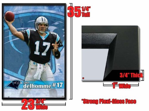 Framed Jake Delhomme Carolina Panthers Poster Fr4036