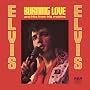 Burning Love and Hits from His Movies, Vol. 1