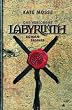 Das verlorene Labyrinth: Roman