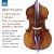 Bottesini: Concertino in C minor; Duo Concertante on Themes from Bellini's I Puritani