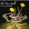 Image of album by The Dry Spells