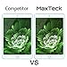 [2 Pack] iPad 2 3 4 Glass Screen Protector, MaxTeck 0.26mm 9H Tempered Shatterproof Glass Screen Protector Anti-Shatter Film for Apple iPad 2 / iPad 3 / iPad 4 - Lifetime Warranty