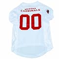 NFL Pet Jersey