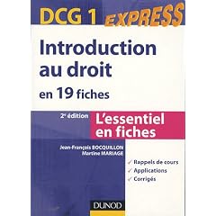 Introduction au droit en 19 fiches : DCG 1