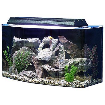 SeaClear Bowfront Aquarium Combo