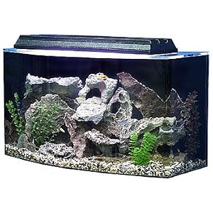 how to build a fish tank aquarium