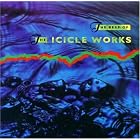 Click here to buy Best of Icicle Works by  Icicle Works .