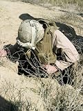 US Marine Jumps Down a Hole Next to a Farm Field North of Hit, Iraq, in Search of a Weapons Cache Photographic Poster Print by Stocktrek Images , 30x40