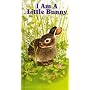 I Am a Little Bunny (Little Furry Friends)