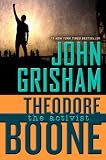 Theodore Boone: The Activist (Theodore Boone: Kid Lawyer)