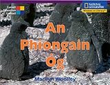 An phiongain óg