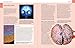 The Brain Book: Development, Function, Disorder, Health